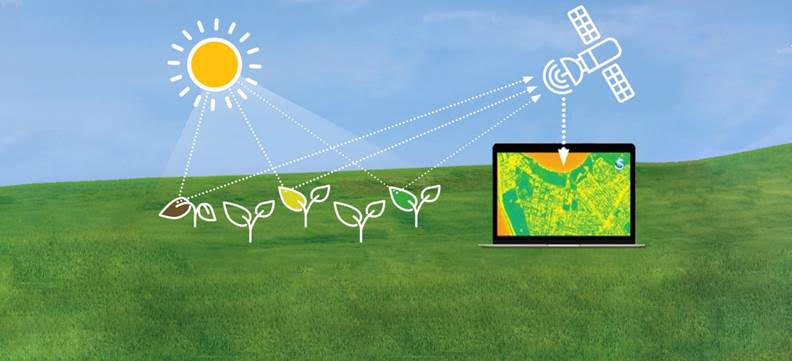 Система Агроаналитики